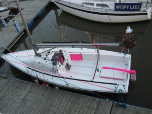 Note the amazing Christmas Tree - so much better than mine!