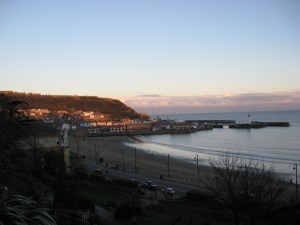 Beautiful in the winter sunshine