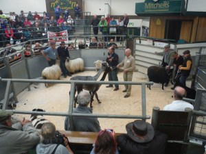 He struggled with the goat.  He'd lost his notes about that one.